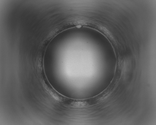 X0000073480449200607311205