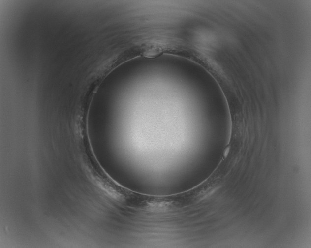 X0000073480450200607311205