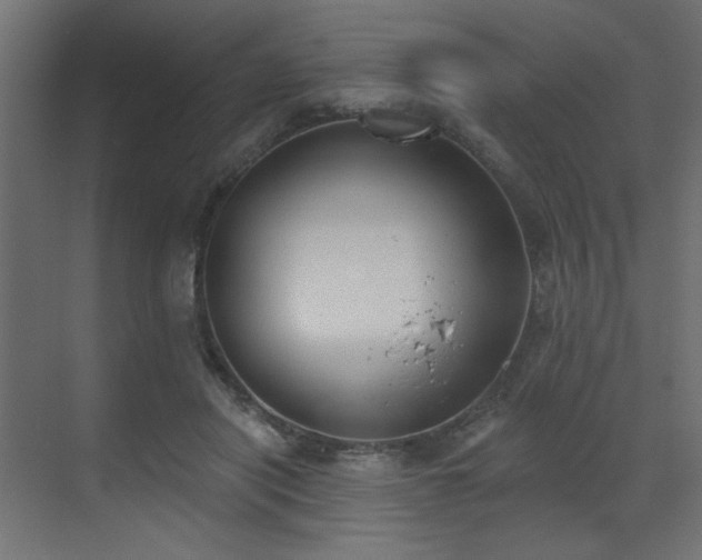 X0000073480454200607311205