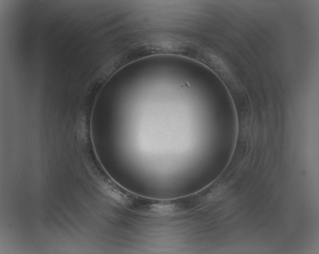 X0000073480457200607311205