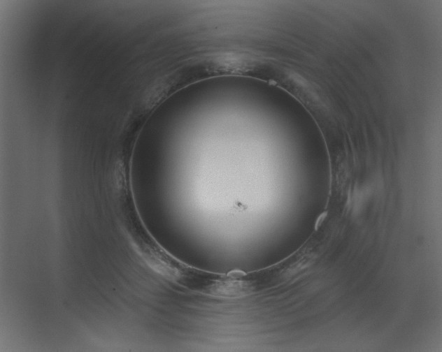 X0000073480459200607311205