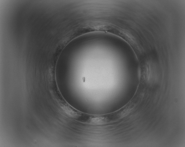 X0000073480461200607311205