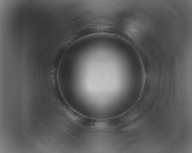 X0000073480462200607311205