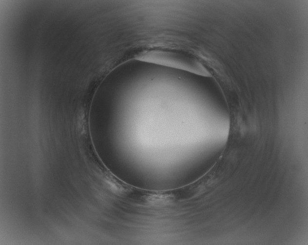 X0000073480465200607311205