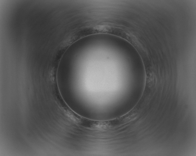 X0000073480466200607311205