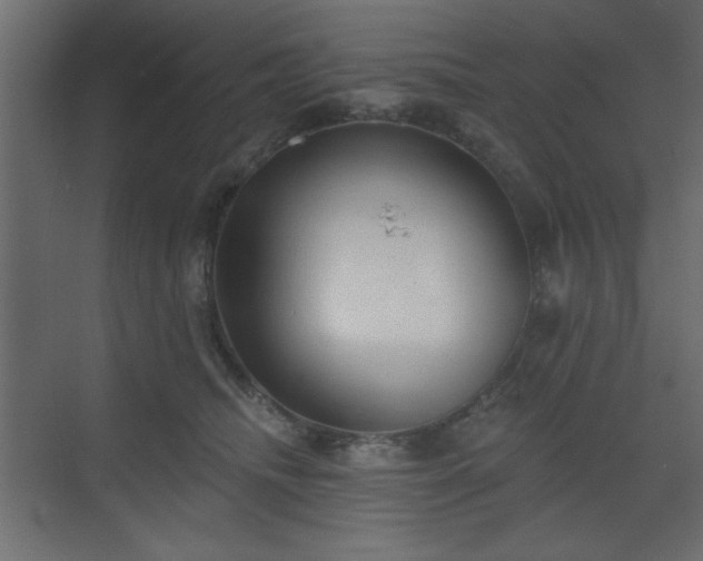 X0000073480468200607311205