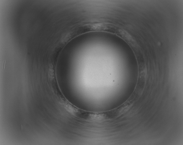 X0000073480469200607311205