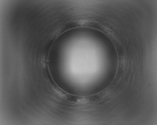 X0000073480470200607311205