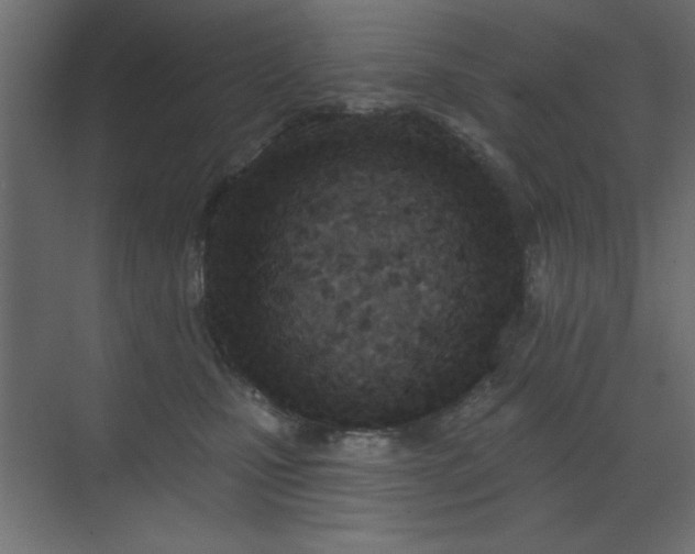 X0000073480471200607311205