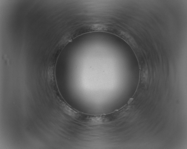 X0000073480473200607311205