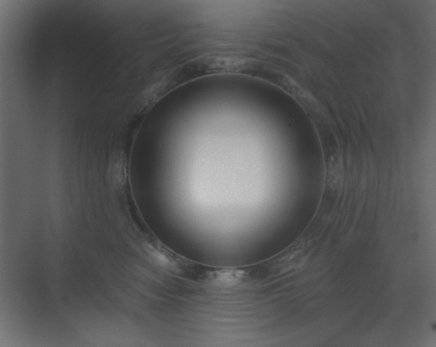 X0000073480474200607311205