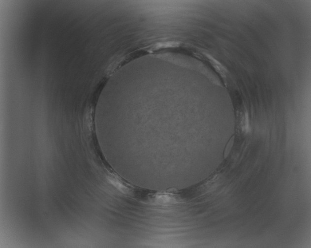 X0000073480475200607311205