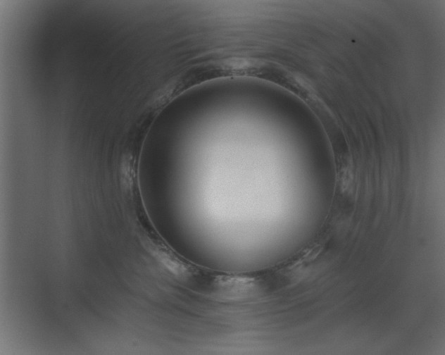 X0000073480476200607311205