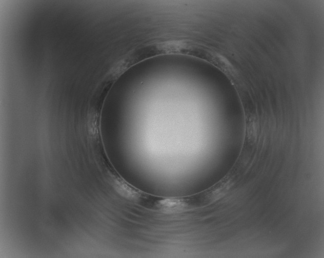 X0000073480477200607311205