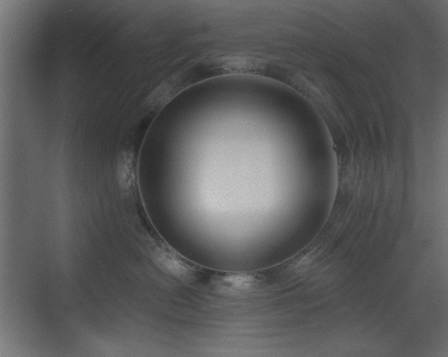 X0000073480478200607311205