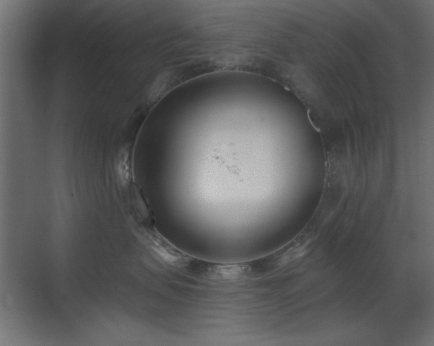 X0000073480479200607311205