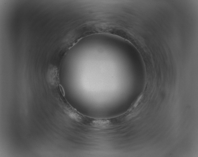 X0000073480480200607311205