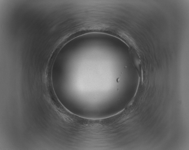 X0000073480483200607311204