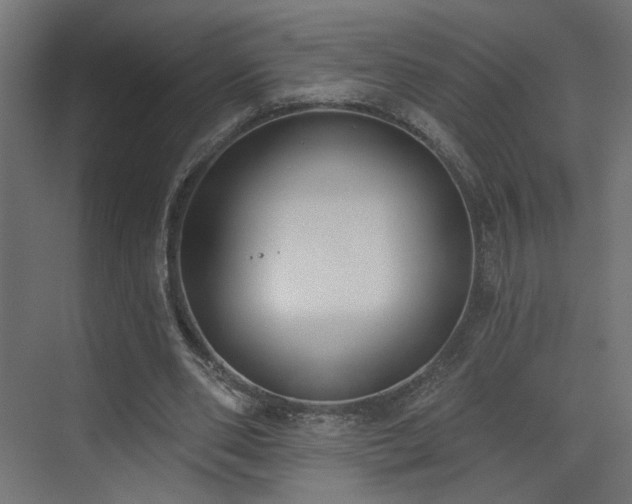 X0000073480486200607311204