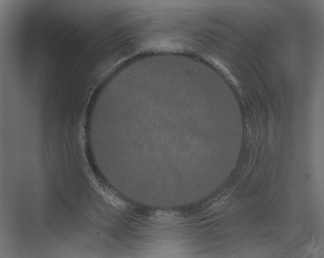 X0000073480487200607311204