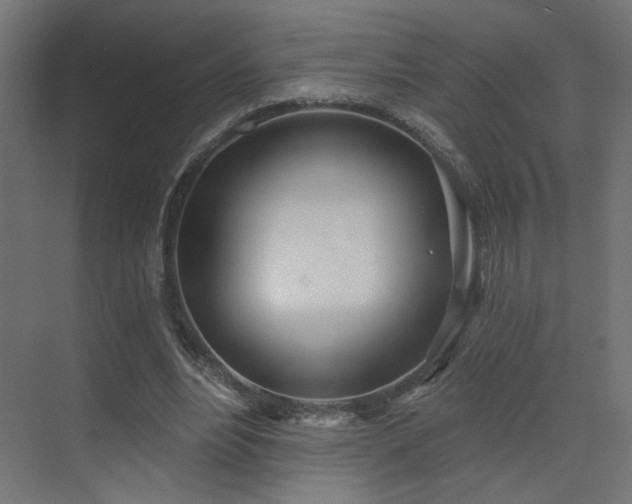 X0000073480488200607311204