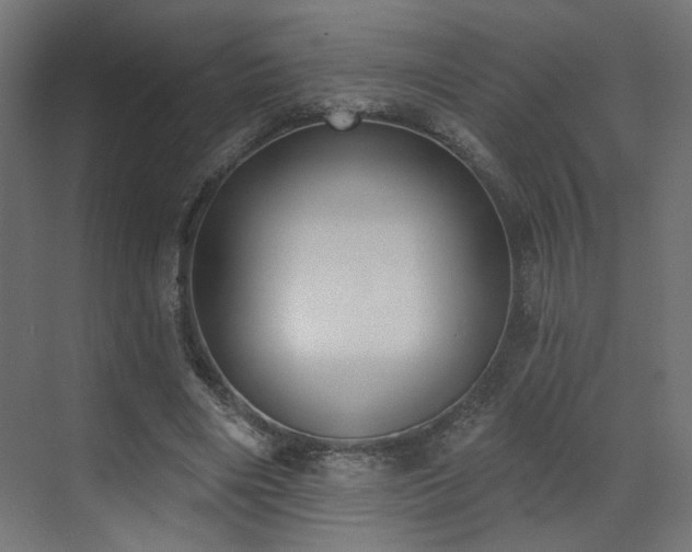 X0000073480490200607311204