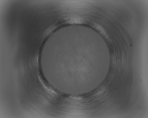 X0000073480491200607311204