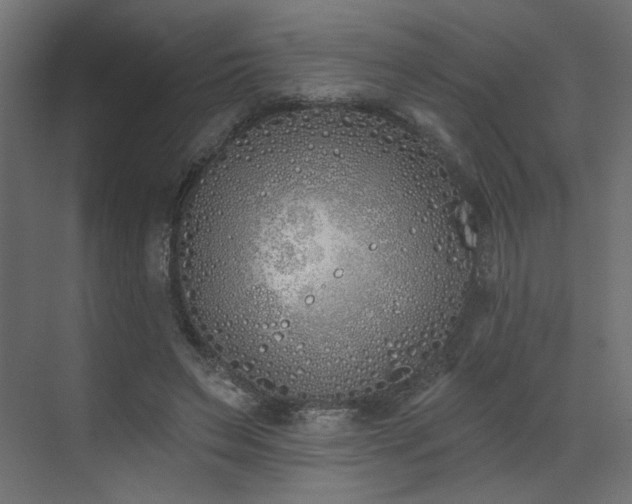 X0000073480495200607311204