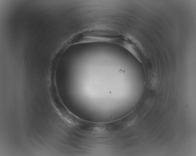 X0000073480496200607311204