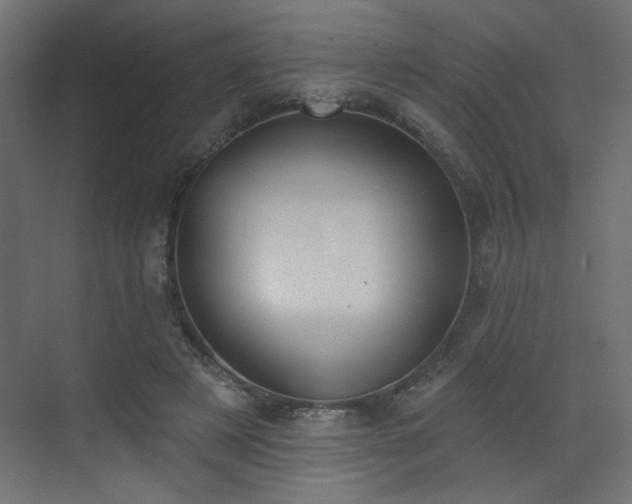 X0000073480497200607311204