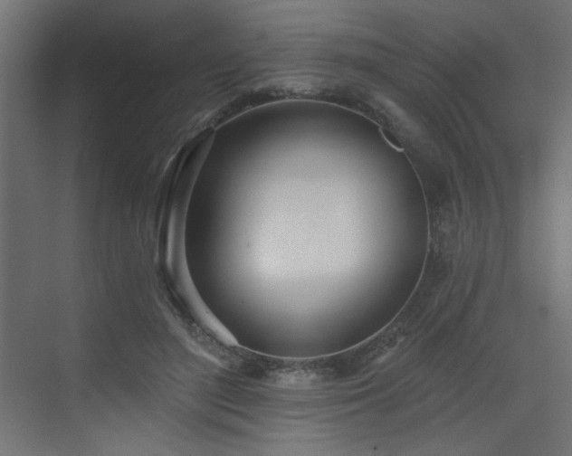 X0000073480500200607311204