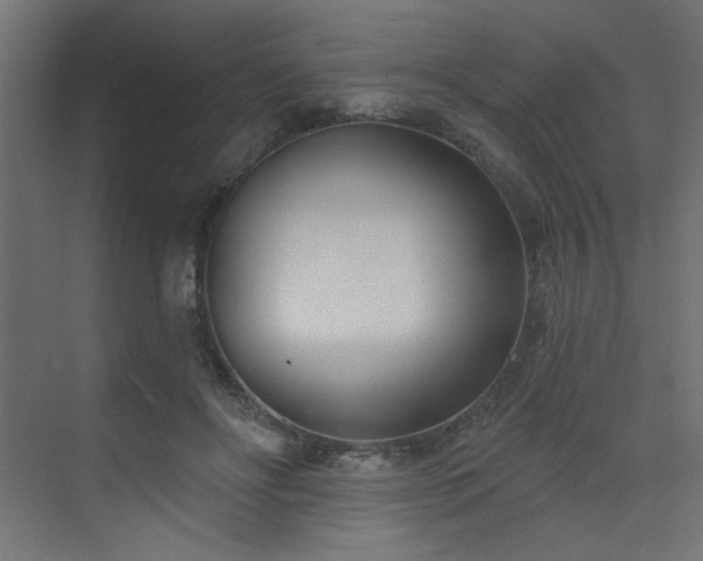 X0000073480502200607311204