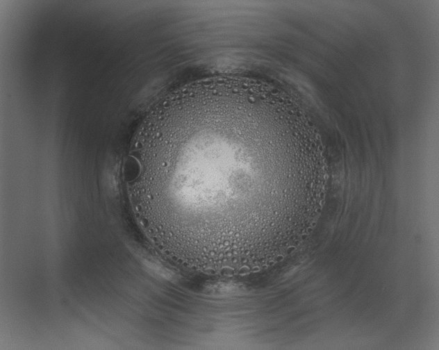 X0000073480503200607311204