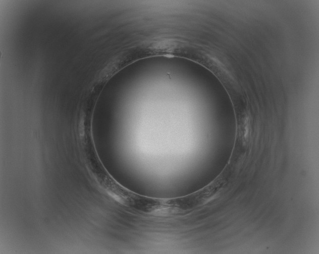 X0000073480504200607311204