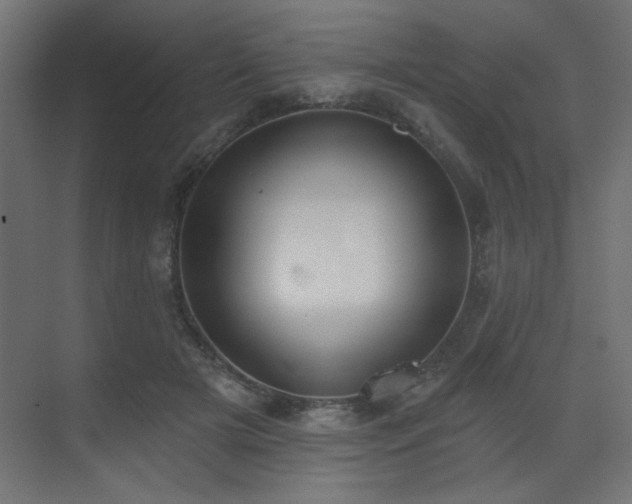 X0000073480505200607311204