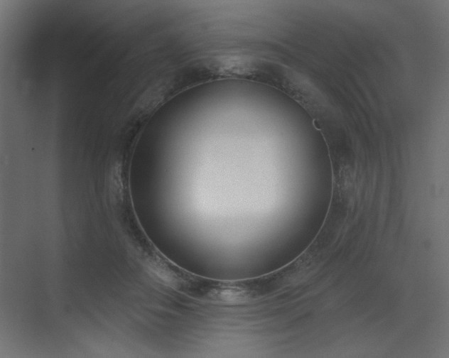 X0000073480506200607311204