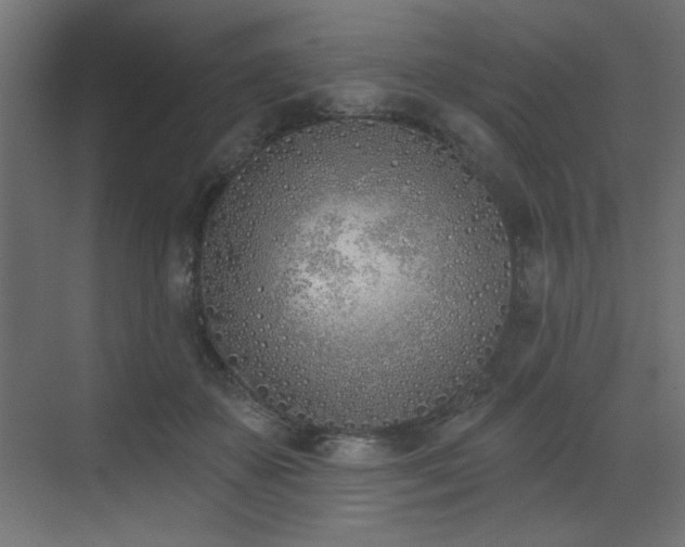 X0000073480507200607311204