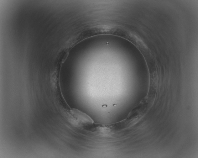 X0000073480509200607311204