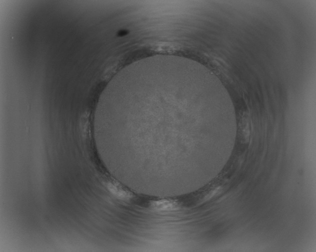 X0000073480511200607311204