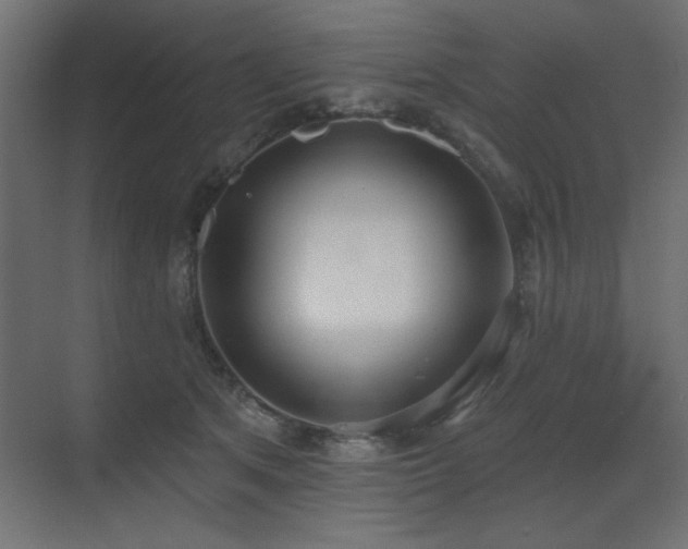 X0000073480513200607311204