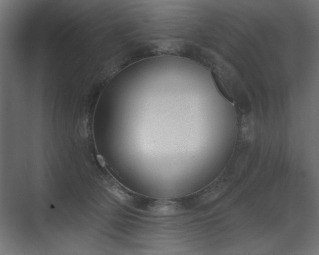 X0000073480514200607311204