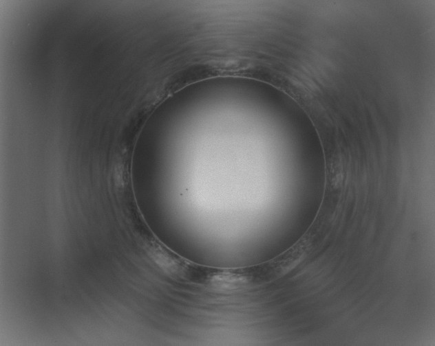 X0000073480515200607311204