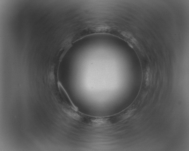 X0000073480516200607311204