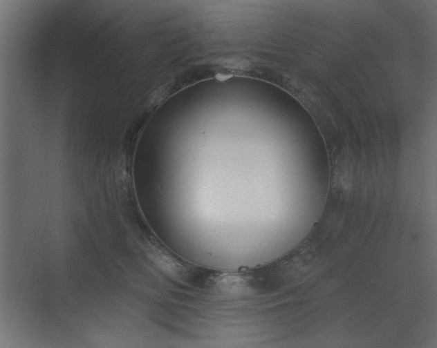 X0000073480518200607311204