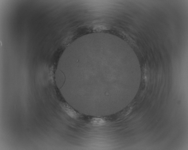 X0000073480519200607311204