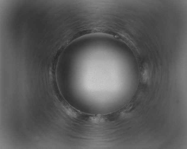 X0000073480520200607311204