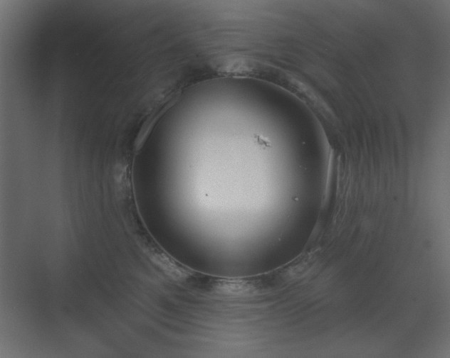 X0000073480521200607311204