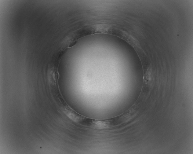 X0000073480522200607311204