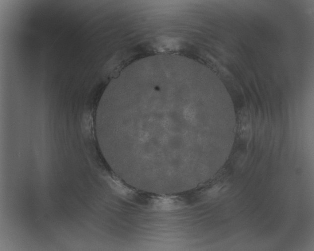 X0000073480523200607311204