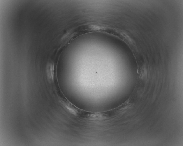 X0000073480524200607311204